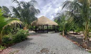 Imagem 3: Chácara com 2 dormitórios à venda, 9250 m² por R$ 400.000 - Elcione Barbalho - Santarém/PA