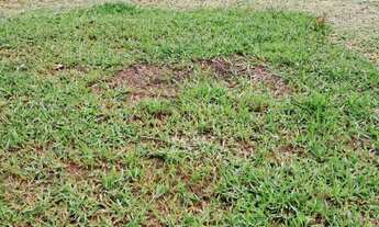 Imagem 2: TERRENO À VENDA – EXCELENTE LOCALIZAÇÃO – BAIRRO CHÁCARAS SANTA MARTHA – VÁRZEA PAULISTA S