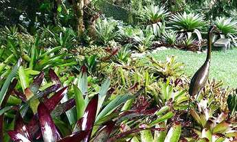 Imagem 6: Casa com 4 dormitórios, 400 m² - venda por R$ 2.600.000,00 ou aluguel por R$ 12.000,00/mês