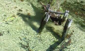 Imagem 7: Fazenda à venda, 971 hectares por R$ 7.000.000 - Zona Rural - Pontes e Lacerda/Mato Gross