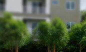 Imagem 6: Apartamento com 2 dormitórios à venda, 45 m² por R$ 338.250,27 - Califórnia - Nova Iguaçu