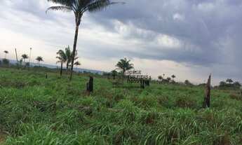 Imagem: Fazenda com 4 dormitórios à venda, 22000000