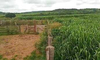 Imagem: Fazenda à venda, 13790000 m² por R$ 76.500.000