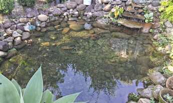 Imagem 7: Chácara 30,00x95,00 com piscina à venda - Garuva/SC com vista para serra