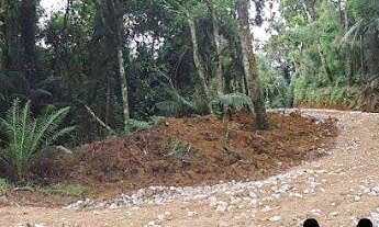 Imagem 6: Chácara à venda - Matulão - Tijucas do Sul/PR