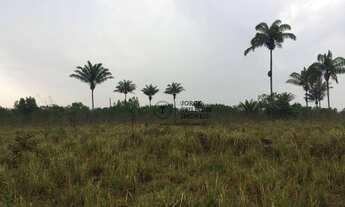 Imagem 7: Fazenda com 4 dormitórios à venda, 22000000 m² por R$ 30.000.000,00 - Zona Rural - Itauba
