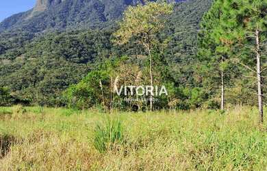 Imagem 5: Chácara à venda, 42.000 m² - Pedra Branca do Araraquara - Guaratuba/PR