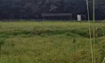 Imagem: Fazenda à venda, 600000 m² por R$ 5.400.000