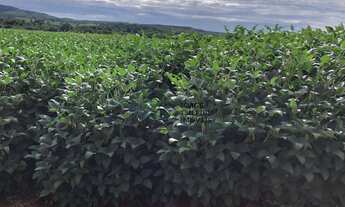 Imagem: Fazenda com 10 dormitórios à venda, 104400000