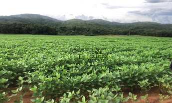 Imagem 4: Fazenda com 10 dormitórios à venda, 104400000 m² por R$ 250.000.000,00 - Zona Rural - Para