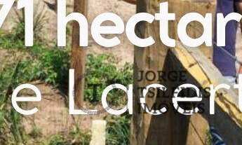 Imagem: Fazenda à venda, 971 hectares por R$ 7.000.000