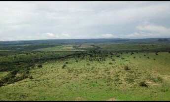 Imagem 4: Fazenda à venda, 70000000 m² por R$ 99.000.000 - 256 - Tesouro/MT