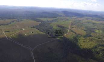 Imagem 2: Fazenda a venda entre Juruena e Nova Bandeirantes - MT, fazenda para ganhar dinheiro viran