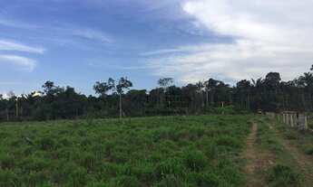Imagem 2: Fazenda com 4 dormitórios à venda, 22000000 m² por R$ 30.000.000,00 - Zona Rural - Itauba