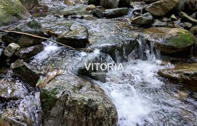 Imagem 7: Chácara à venda, 42.000 m² - Pedra Branca do Araraquara - Guaratuba/PR