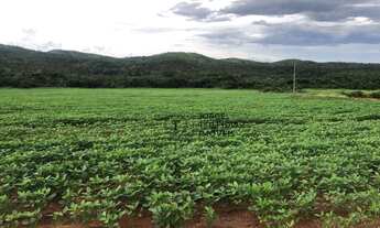 Imagem 5: Fazenda com 10 dormitórios à venda, 104400000 m² por R$ 250.000.000,00 - Zona Rural - Para