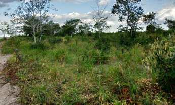 Imagem 5: Fazenda à venda, 971 hectares por R$ 7.000.000 - Zona Rural - Pontes e Lacerda/Mato Gross