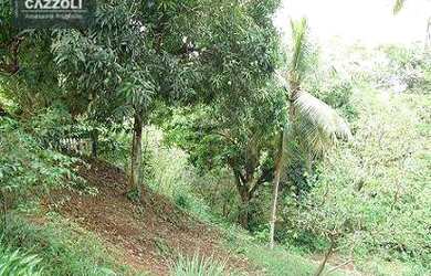 Imagem 3: A natureza viva no Alto da Sé. 24.000m2 só seus. Venha conhecer esta maravilha preservada!