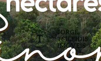 Imagem: Vende-se chácara 50.000 m² por R$ 1.500.000