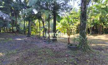 Imagem 4: Chácara à venda, 9000 m² por R$ 750.000 - Garuva - Garuva/SC