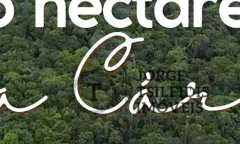 Imagem: Sítio à venda, 95 hectares por R$ 5.000.000