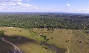 Imagem 4: Fazenda a venda entre Juruena e Nova Bandeirantes - MT, fazenda para ganhar dinheiro viran