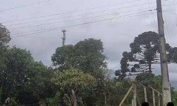 Imagem 3: Chácara à venda - Matulão - Tijucas do Sul/PR