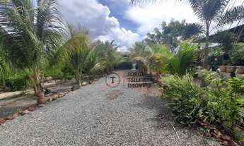 Imagem 4: Chácara com 2 dormitórios à venda, 9250 m² por R$ 400.000 - Elcione Barbalho - Santarém/PA