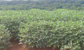 Imagem 7: Fazenda com 10 dormitórios à venda, 104400000 m² por R$ 250.000.000,00 - Zona Rural - Para