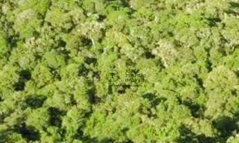 Imagem 2: Fazenda com 6 dormitórios à venda, 160000000 m² por R$ 50.000.000,00 - Centro - Sena Madur