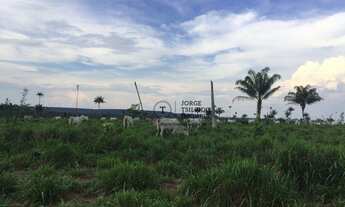 Imagem 3: Fazenda com 4 dormitórios à venda, 22000000 m² por R$ 30.000.000,00 - Zona Rural - Itauba