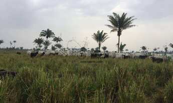 Imagem 5: Fazenda com 4 dormitórios à venda, 22000000 m² por R$ 30.000.000,00 - Zona Rural - Itauba