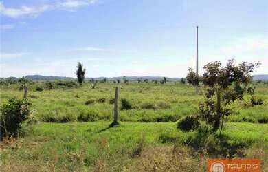Imagem 5: Fazenda com 18.000 hectares à venda, 180000000 m² por R$ 180.000.000 - Zona Rural - Juina