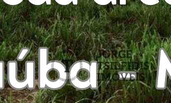 Imagem: Fazenda com 4 dormitórios à venda, 2200