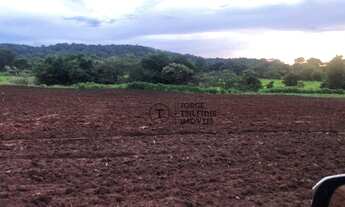 Imagem 3: Fazenda com 10 dormitórios à venda, 104400000 m² por R$ 250.000.000,00 - Zona Rural - Para