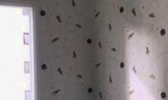 Imagem 6: Apartamentos para venda em Barueri no bairro Alphaville