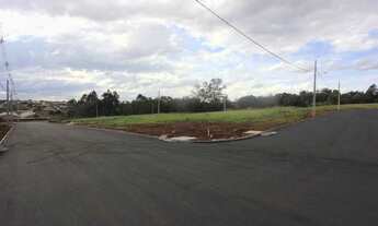 Imagem 7: Loteamento Pioneiros