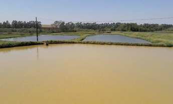 Imagem: Área Rural para Venda