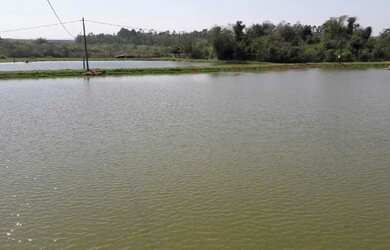 Imagem 2: Área Rural para Venda