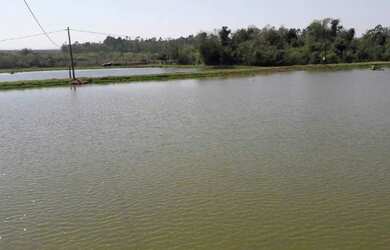 Imagem 4: Área Rural para Venda