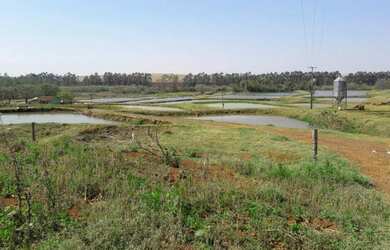 Imagem 5: Área Rural para Venda