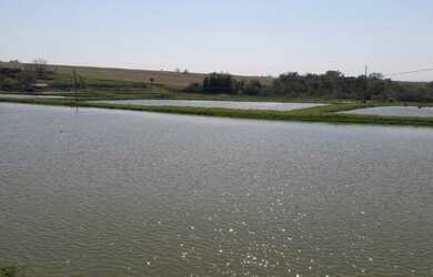 Imagem 7: Área Rural para Venda