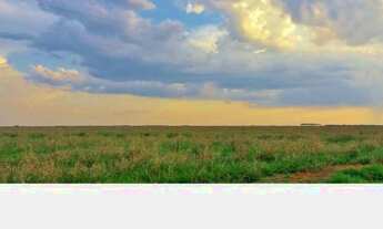 Imagem 2: Fazenda para Venda