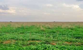 Imagem 4: Fazenda para Venda