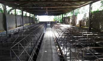 Imagem 5: SÍTIO BAIRRO Outro