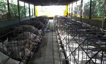 Imagem 7: SÍTIO BAIRRO Outro