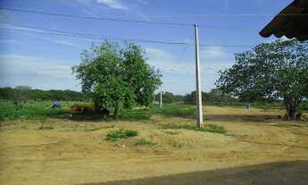 Imagem 2: Fazenda para Venda