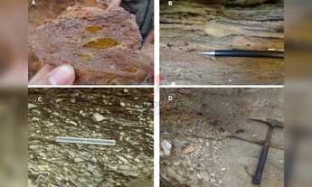 Imagem 2: Área Rural: Para exploração Mineral de Ouro, Grafeno e outros