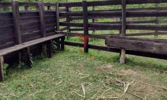 Imagem 4: Terreno Sororoca Cunha/SP