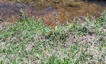 Imagem 7: Terreno Sororoca Cunha/SP